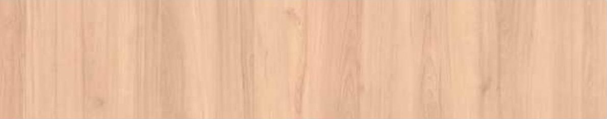 North American Maple